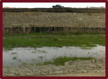 Fill applied in thin layers, with a silt fence at the base of the fill. Grass is maintained on the edge of the drainage.